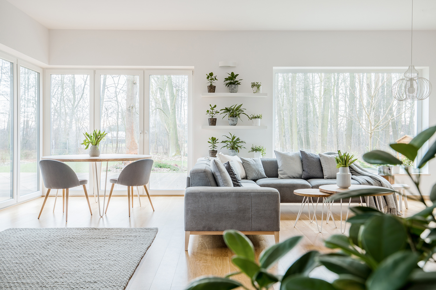 Grey armchairs at wooden table near corner couch with cushions in scandi living room interior